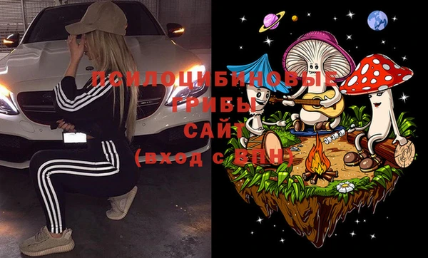 дживик Бородино