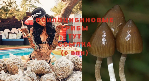 винт Бронницы
