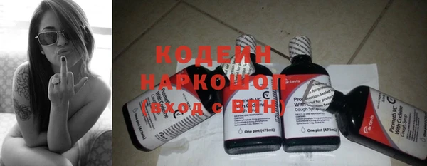 дживик Бородино