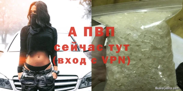 гашик Волоколамск
